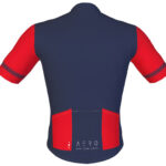 Imagen espalda del maillot revolution blue trouble